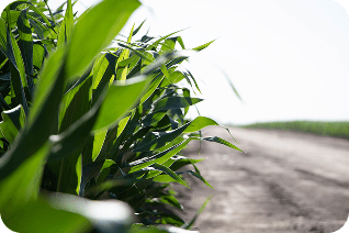 Valor agregado en origen
