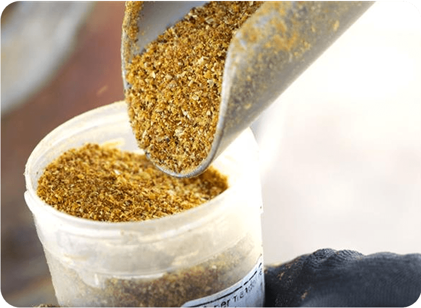 Productos y Coproductos