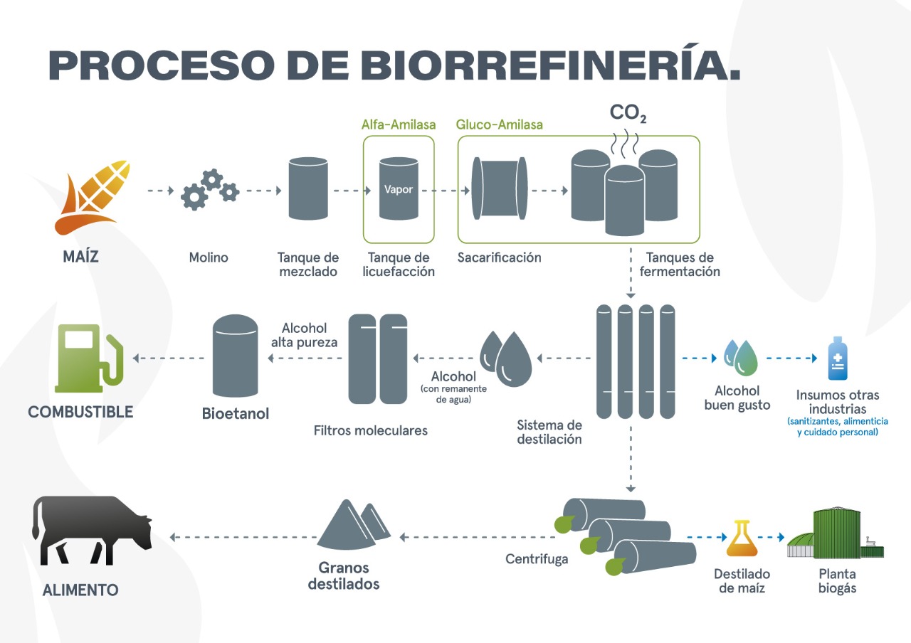 Proceso productivo - Bio4